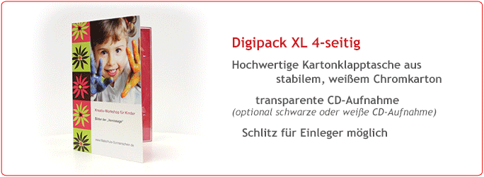 DVD-Digipack 4-seitig, 1 Tray